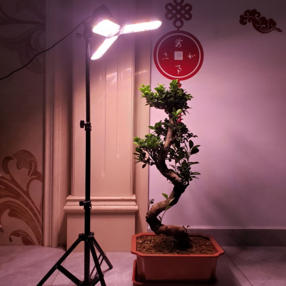 電球スタンド 2M、E27 ACソケット付き傘型ランプホルダ - Photography Lighting For Studio のレビューと価格
