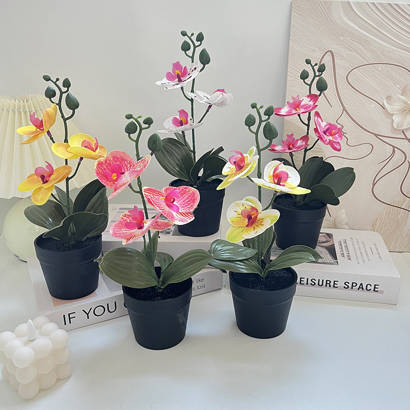 軽量高級黒粘土鉢、蝶蘭模造品、屋内結婚式撮影、造花3本、緑の - Photography Lighting Simulation のレビューと価格